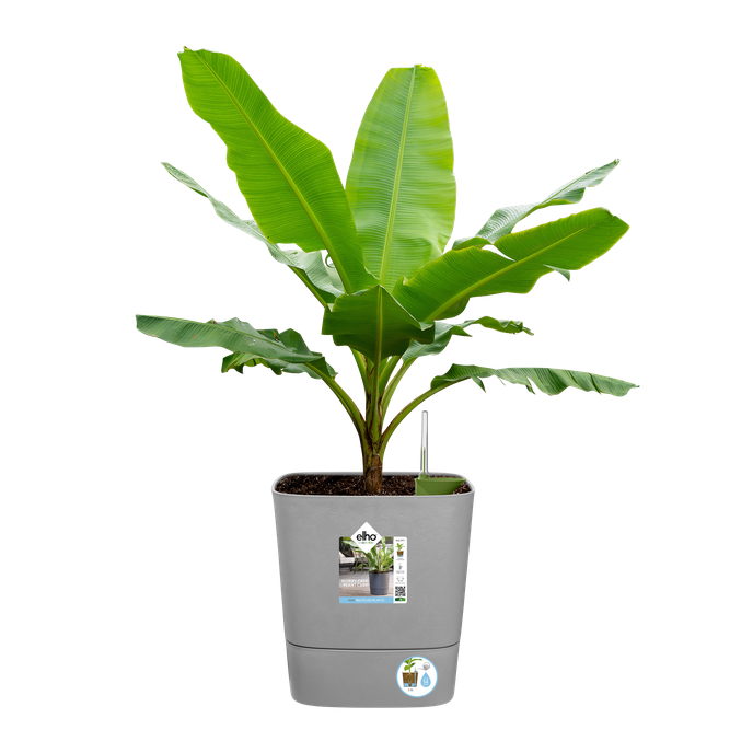 greensense aqua care vierkant 30cm licht beton